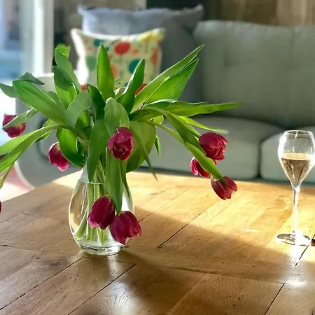 Provencale Moderne 빌라 *